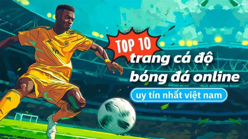 bóng đá thể thao hàng đầu